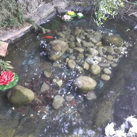 Casa Ninas *