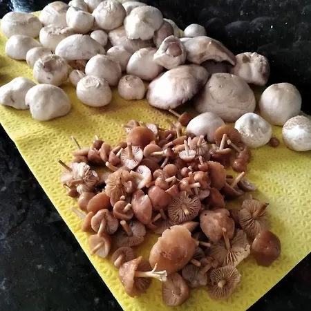 Casa Ninas * Quintanahedo