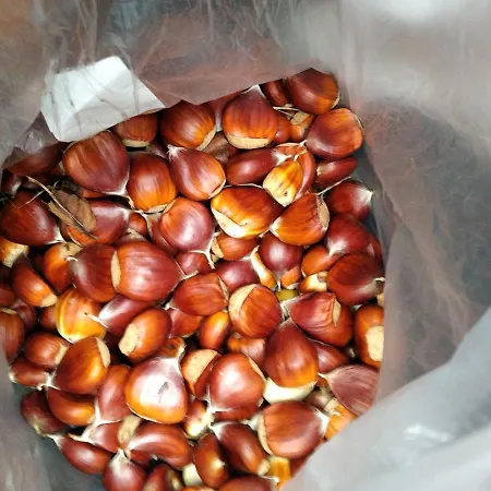 Casa Ninas Holiday home Quintanahedo