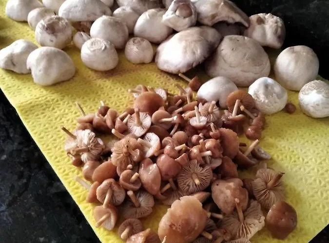 Casa Ninas * Quintanahedo