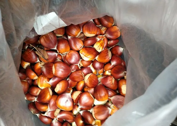 Casa Ninas Casa vacanze Quintanahedo